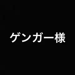ゲンガー様 リクエスト 4点 まとめ商品