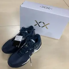 【未使用】NIKE ズームレブロン NXXT GEN AMPD EP 28.5