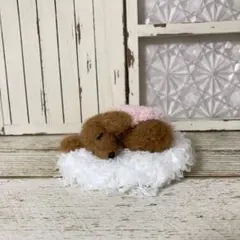 ミニチュアダックス＊お昼寝＊毛糸　羊毛フェルト　犬　ミニチュア