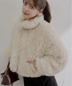 プードルコート