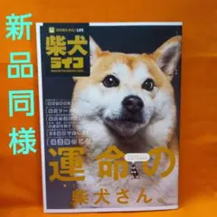 Item thumbnail for item f352dcc1-ed3a-43c4-89e0-c3733cc4d99c