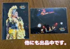 桔梗様 リクエスト 2点 まとめ商品