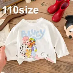 Item thumbnail for item a0b17ae2-69a3-4c37-afcc-3f385889b44d