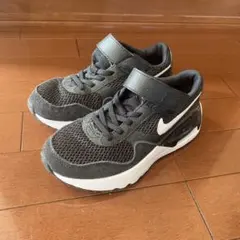 Nike Air Max スニーカー ブラック/ホワイト US 2Y