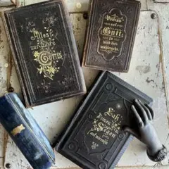 5%off対象品 1800年後期 ドイツ 美しい表紙 貴重 アンティーク 洋書