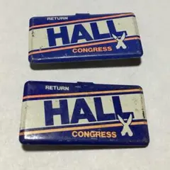 HALL 議会 選挙 バッジ 2個セット ビンテージ 政治物のサムネイル