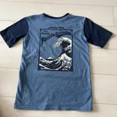 Item thumbnail for item a6448cc1-faba-47ef-80c2-b1d81cbb64ba