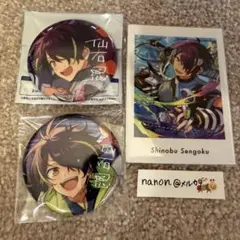 仙石忍 10周年 / TRIP 缶バッジ ぱしゃっつVol.6 A セット