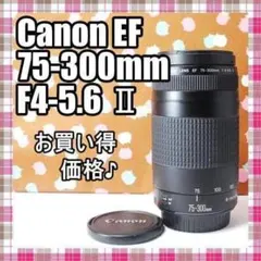 ✨お買い得✨人気の望遠✨Canon EF 75-300mm F4-5.6 Ⅱのサムネイル