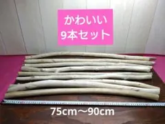 流木セット　no.338