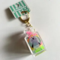 パペットスンスン　ジェリービーンズ　キーホルダー　スンスン　キャンディストア