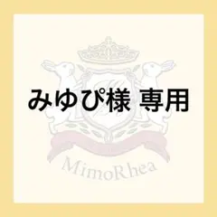 みゆぴ様 専用★速達★