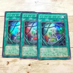 遊戯王　ブラック・ガーデン　スーパー　CSOC　3枚