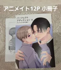 特典のみ　パーフェクトアディクション4　美山薫子　アニメイト特典 小冊子