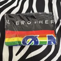 最終値下げ‼️登坂広臣 after party ネームタオル タオル