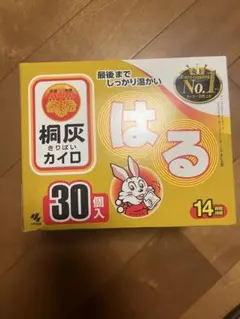 はるカイロ30個✖️2のサムネイル