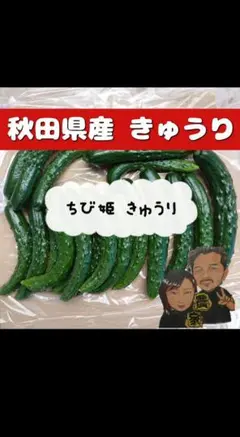 秋田県産 ちび姫きゅうり 1kgのサムネイル