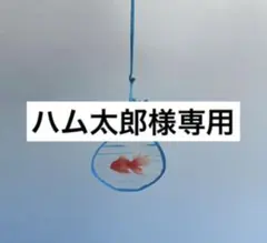 ハム太郎様専用 M