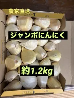 ジャンボニンニク(期間限定約1.2kg)のサムネイル