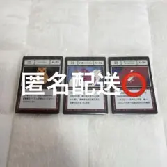 ハンターハンター 一番くじ　J賞　トラエモン 手乗りドラゴン キングホワイトオオ