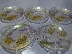 ガラス製皿 5枚セット 葉と果物デザイン