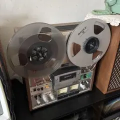 Item thumbnail for item 9005f986-3a06-4c93-9341-3f4f51224167