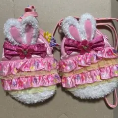 ディズニーランド　イースター　うさぎ　ポシェット　ショルダー