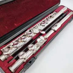 2025年最新】Yamaha YFL-221の人気アイテム - メルカリ