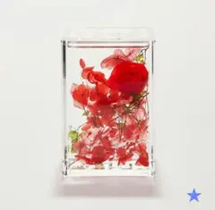 ハーバリウム ブルームアクア ブロック 赤 hikka