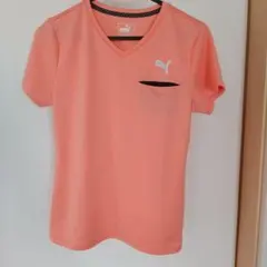 Item thumbnail for item 49913edc-a77e-41ee-8327-6a9c834ecd69