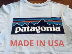 patagoniaパタゴニア made in usa P-6ロゴ
