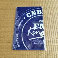 2013 FNC KINGDOM IN JAPAN フェイスタオル CNBLUE