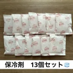 【匿名発送】同一サイズ　保冷剤　13個セット　まとめ売り