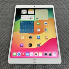 4430【早い者勝ち】iPad Pro 256GB 10.5インチ SIMフリー - メルカリ