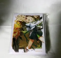 2026年最新】白の聖女エクレシア スリーブの人気アイテム - メルカリ