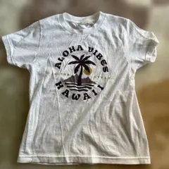 Item thumbnail for item 12cbcbed-e779-427d-9ef4-4ecddbb53795