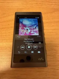 美品】 SONY ウォークマン NW-Z1070 64GB あか 純正カバー付 - メルカリ