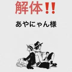 あやにゃん様 専用ページ