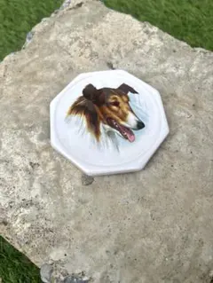 Item thumbnail for item 3ba64aef-dec9-4ae0-b300-a29051c2aa41