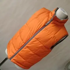 L.L.BEAN ダウンベスト NORTH Patagonia