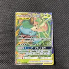 フシギバナ＆ツタージャGX RR SM11a リミックスバウト 001/064