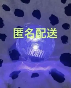 ❤️龍宮城❤️リングライト SHORYU WINTER TOUR 2023 2個 - メルカリ