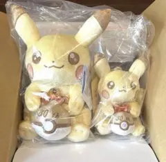 ポケモン ポケパークカントー ぬいぐるみ ピカチュウ イーブイ - メルカリ
