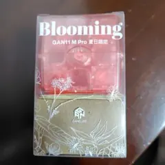 GAN11 M Pro Blooming 夏日限定 ルービックキューブ