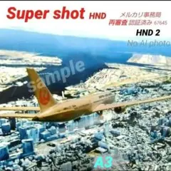 Item thumbnail for item abc8e676-944a-4b12-b2ae-64f3d6021f3d