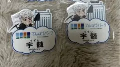 鬼滅の刃　展望台パークネームバッジ