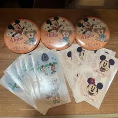 Disney アウラニ リゾート 缶バッジ 4個セット