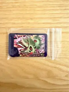 まとめ売りの場合300円 ポケモンフレンダ バンギラス　その2