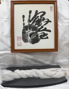 2026年最新】鶴竜 サインの人気アイテム - メルカリ