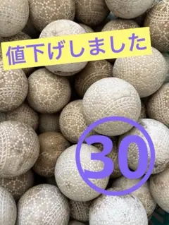 Item thumbnail for item 8d841d52-6dc4-4a95-955d-1e1424cbec3f